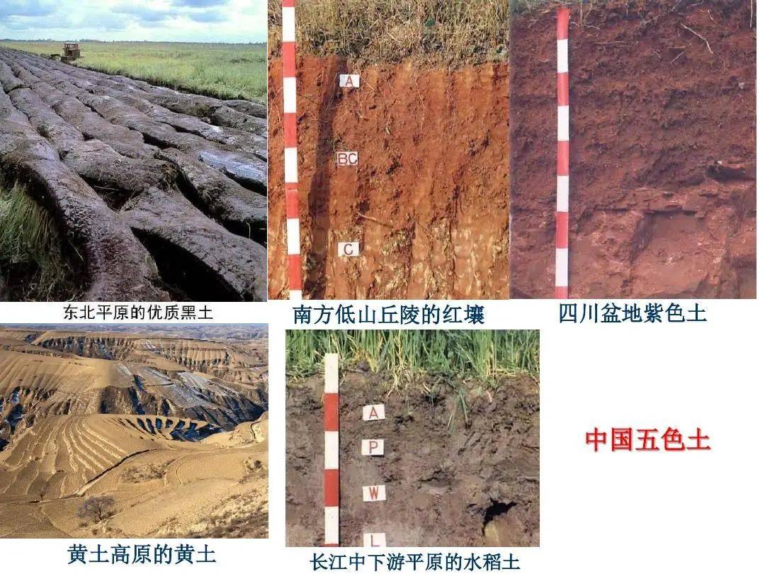 微专题 | 高考地理中土壤的相关知识点_系统_功能_地球