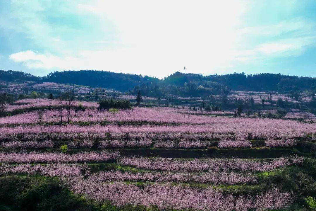 三穗县 风景图片