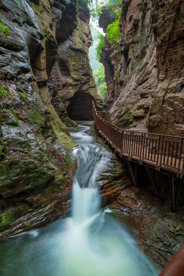 值得一去的地方春光正好追着四月的一场风来新安吧邂逅一场以花为名的