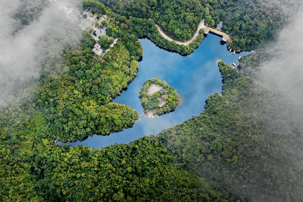 亲子单飞2天4月45日肇庆登广东四大名山之首鼎湖山包裹蒸粽乡村的春天