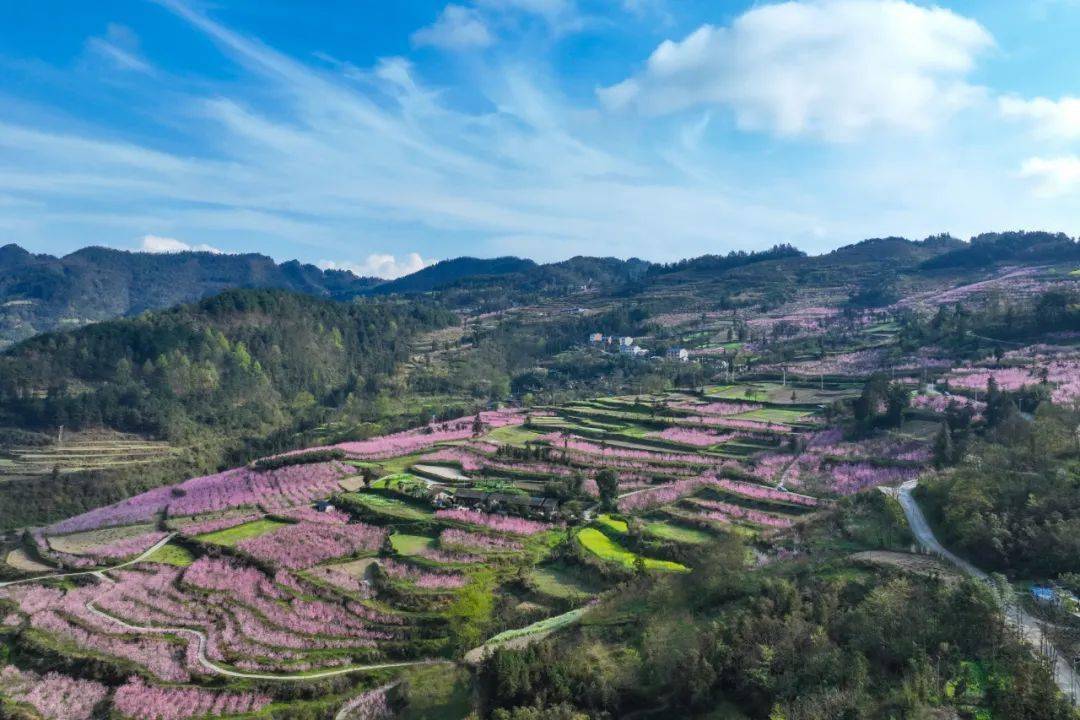 三穗风景图片