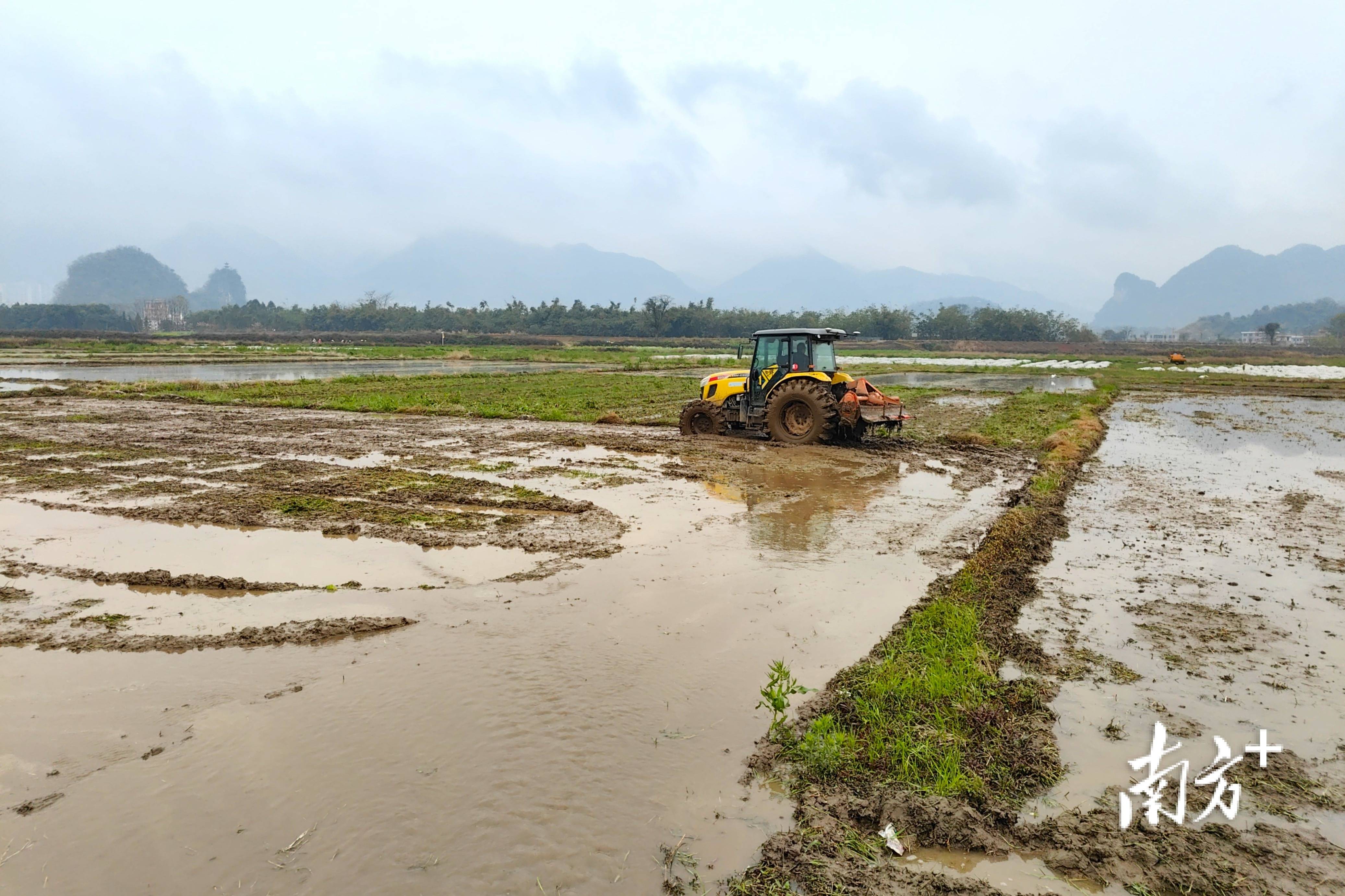 人勤春来早连州镇春耕备耕忙