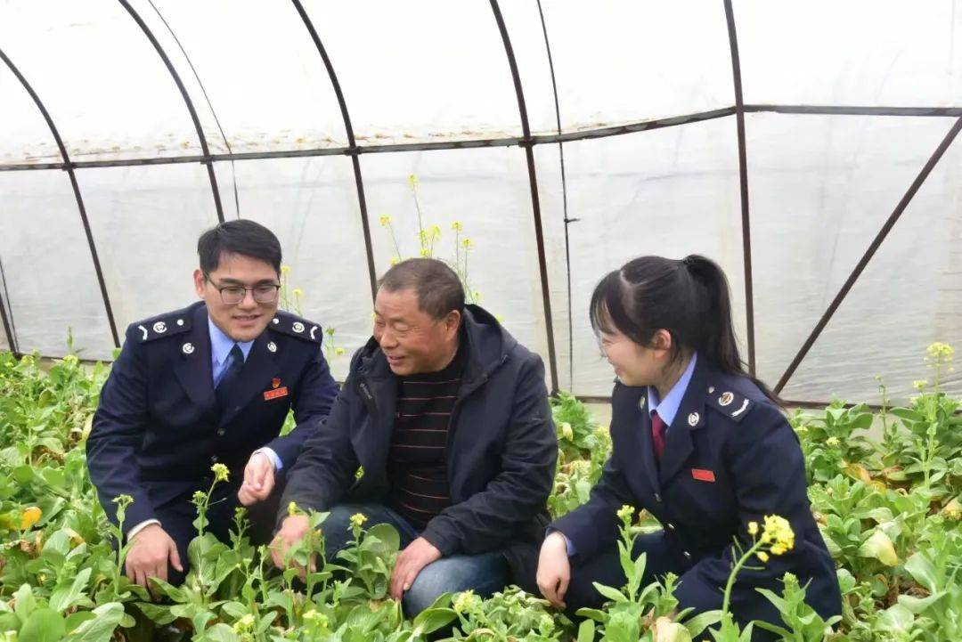 税务干部奔走一线服务春耕备耕共绘乡村丰景