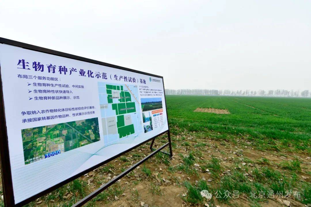 孟景伟围绕加快推进种业高质量发展到于家务国际种业园区调研