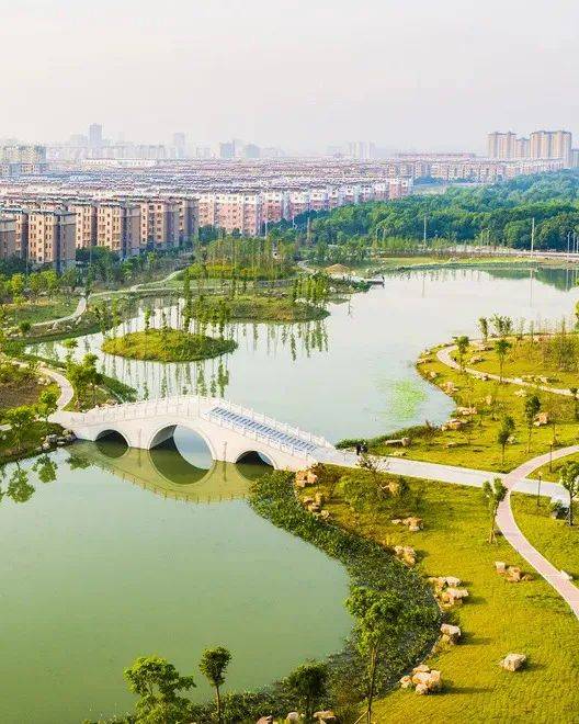 春趣金湖 赏花品虾|这5条精品线路都很赞_背景_布局_模板