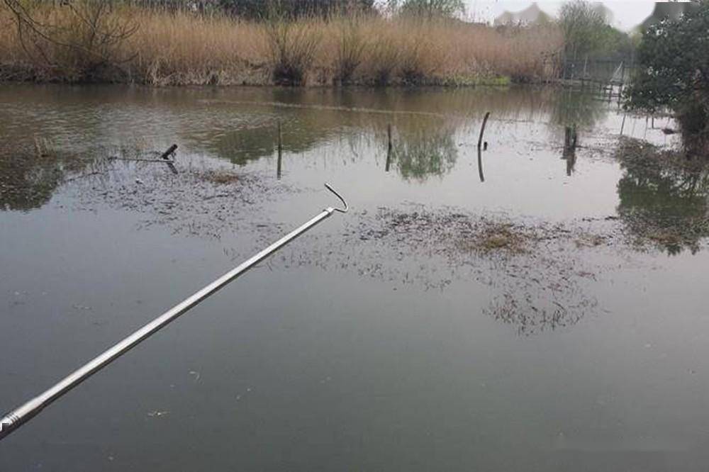 仲春野钓鲫鱼草洞3选3不选不是草洞都有鱼窝