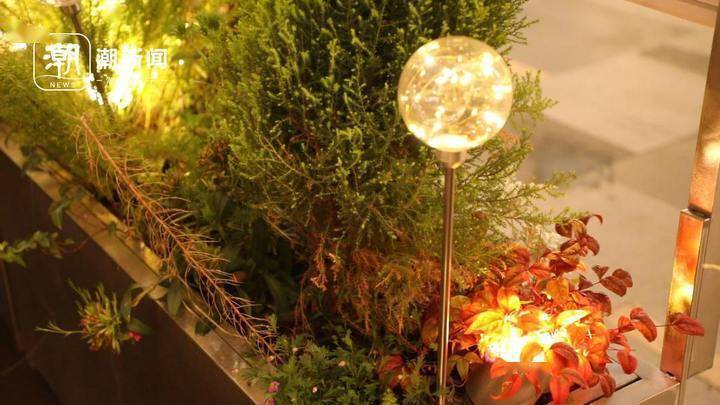 探出一角店面收获满心喜悦这一年杭城小店有了外摆新故事