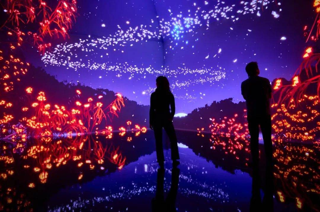 tyama墨尔本博物馆令人叹为观止的沉浸式光影盛宴