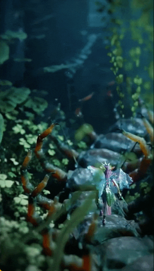 而除了上述top 5作品,脑洞大开的创意还有很多,其他大神也是各显神通