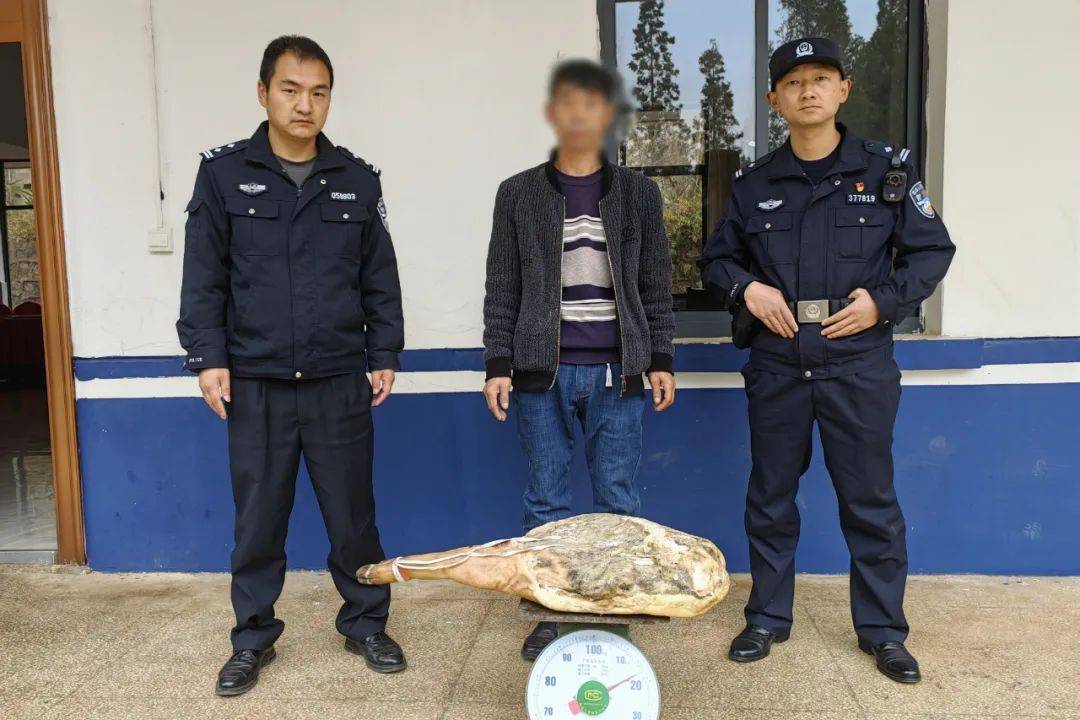 就离谱会泽赵某偷盗1只火腿被抓获