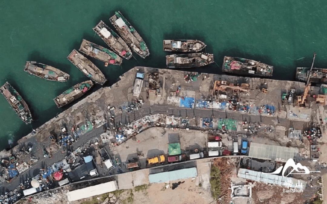 何以崂山从一条鱼到千万家