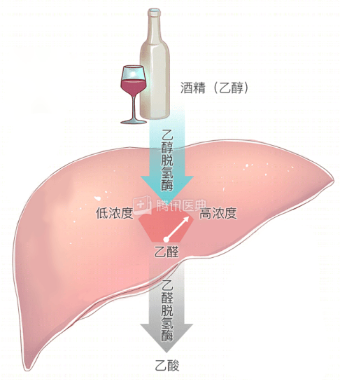 酒精结构示意图图片