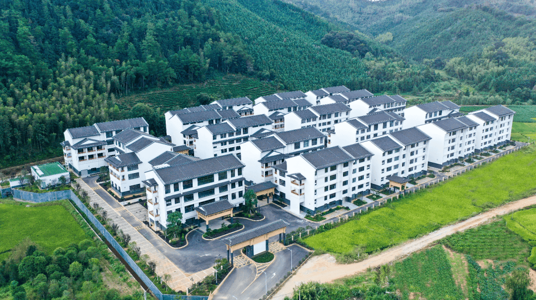 奋进在春风里①政和厚植生态底色绘就绿色画卷