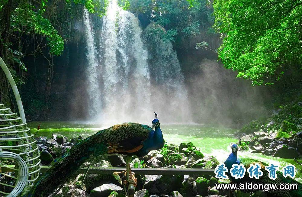 晚报杯参赛棋手游临高美景体验舌尖上的临高