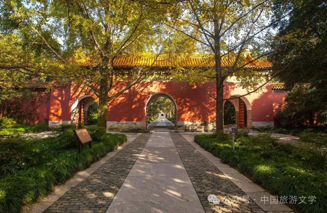 行走丨世稀陵台钟山巍阙