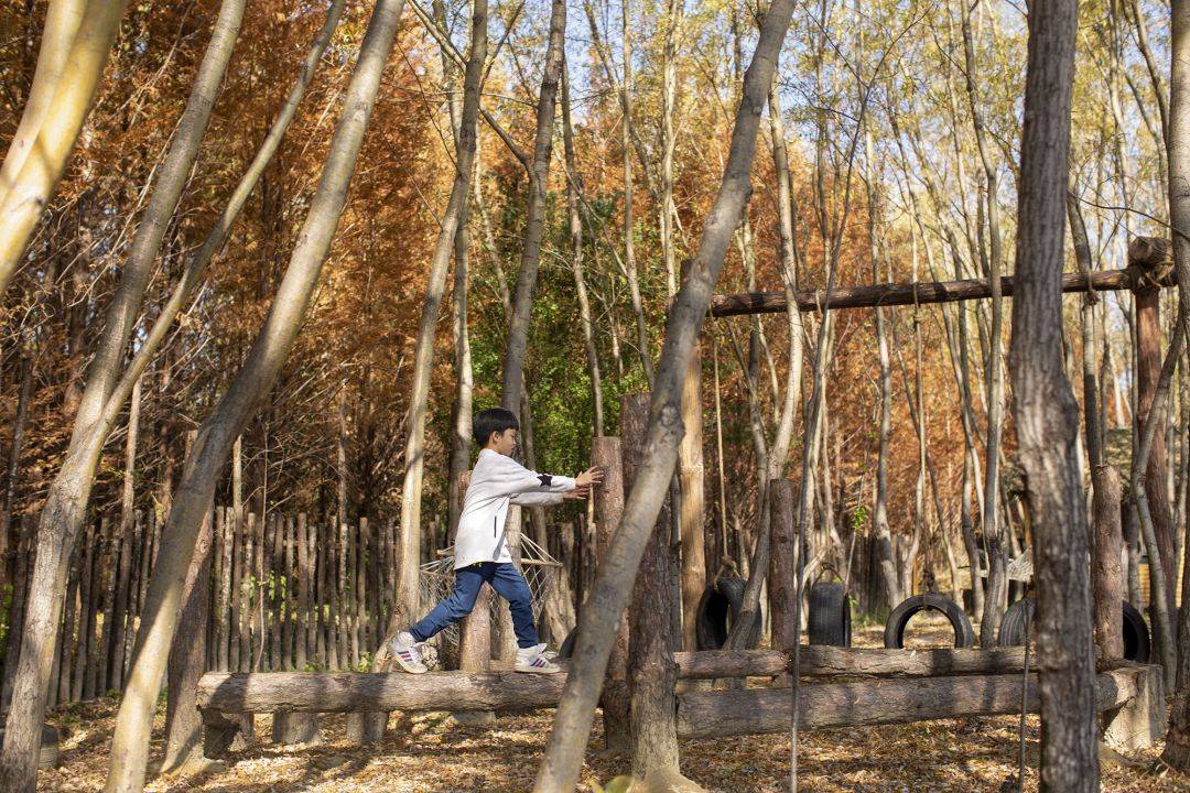 树屋,滑梯,攀岩墙,滑索,秋千以及简单的丛林飞跃,几乎涵盖了所有孩子