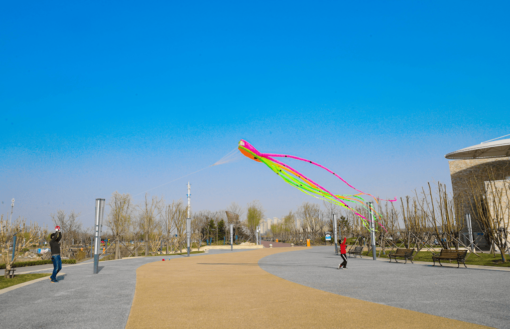 解锁春日浪漫属于生态城春天的十件小事