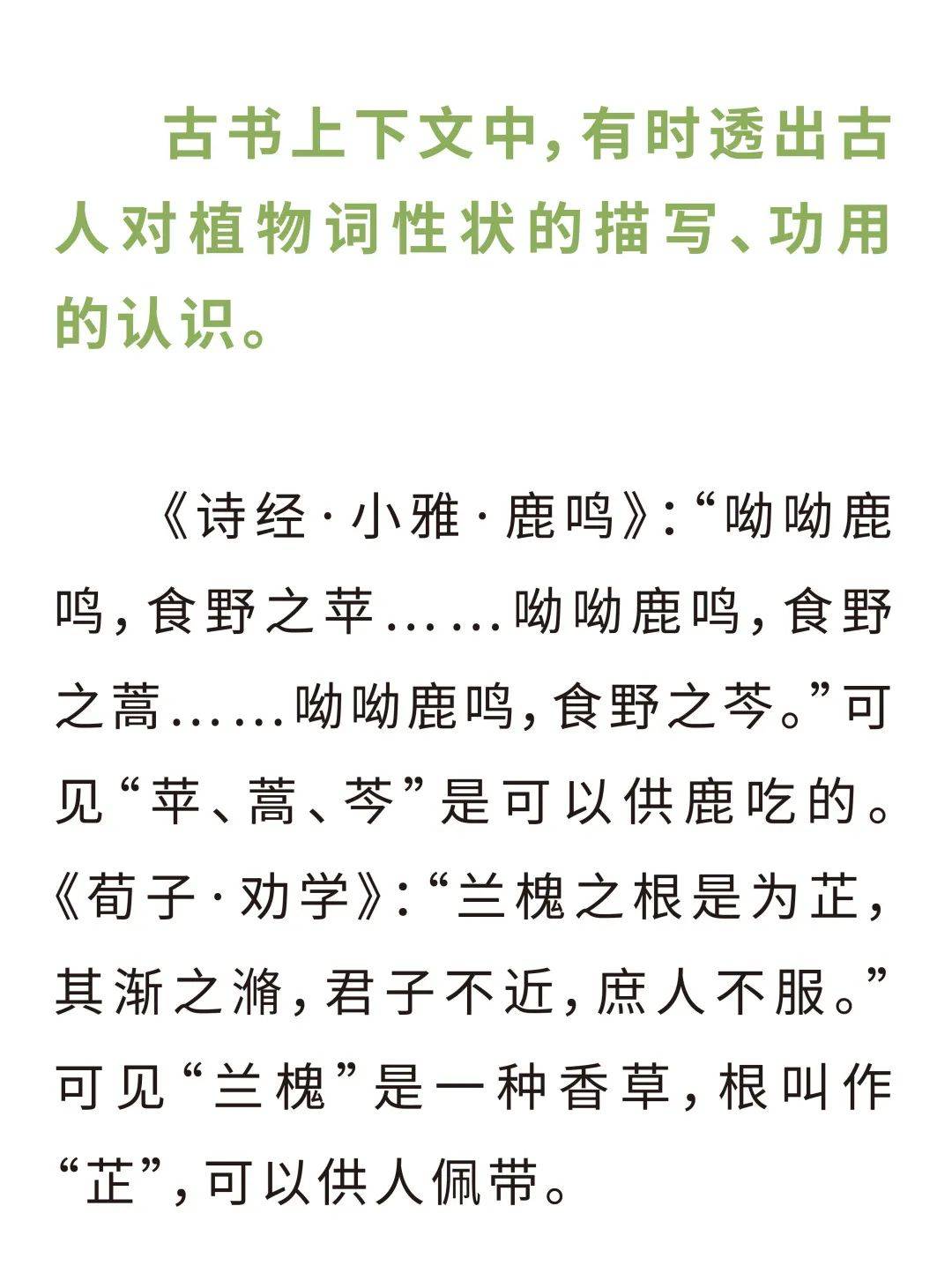 看图长知识北大教授教孩子认识古诗文中的植物