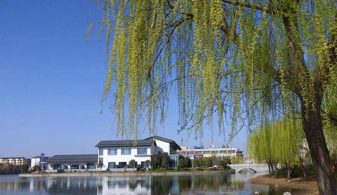 春游江淮砀山等您来,春日美景,上新!_梨花_县委宣传部