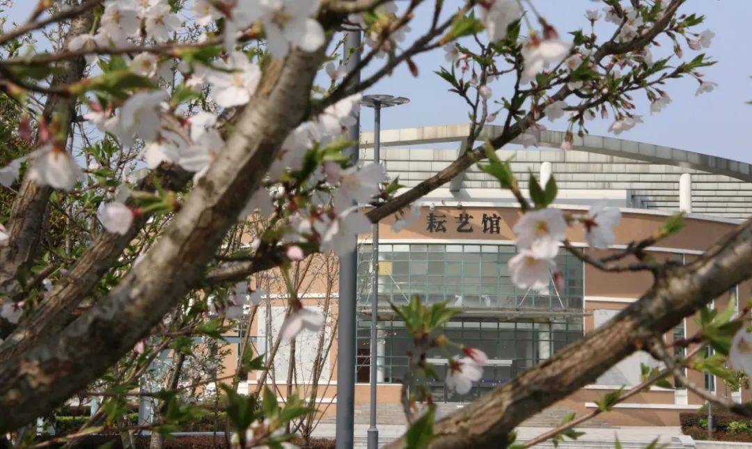 再获殊荣!蝉联北京大学"博雅人才共育基地"全市第一!为这些老师点赞喜