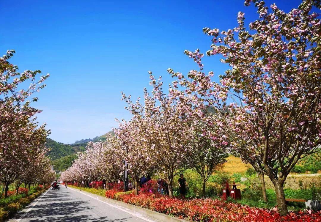 不负春光汇川区这场摄影大赛等你来