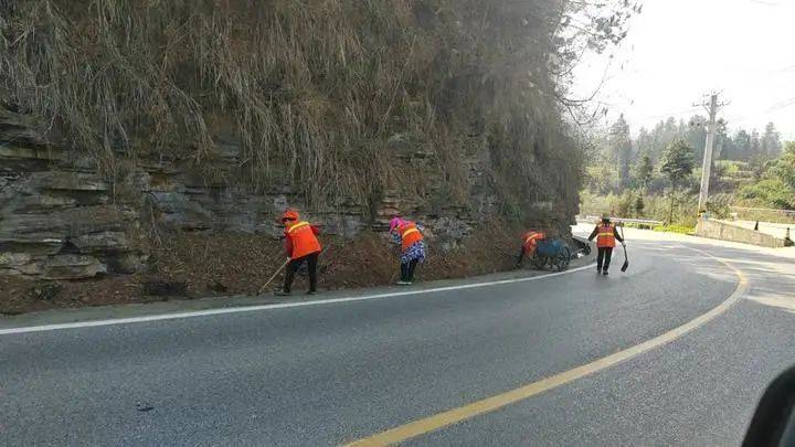 扮靓国省道春养正当时