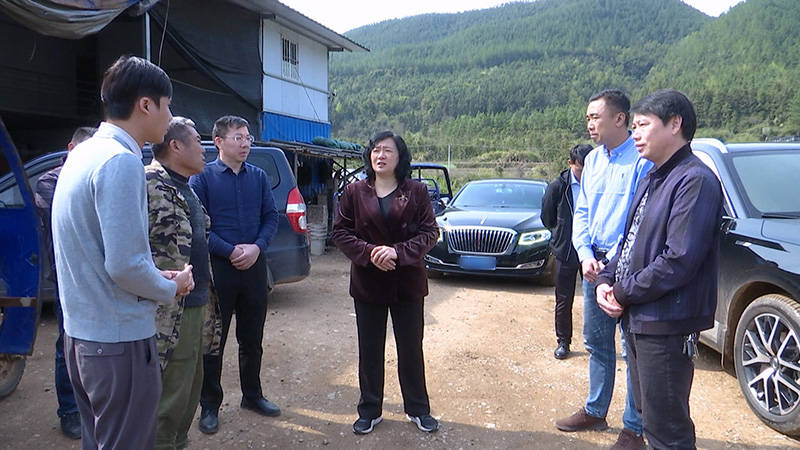 邓群:切实守护好蓝山的生态环境