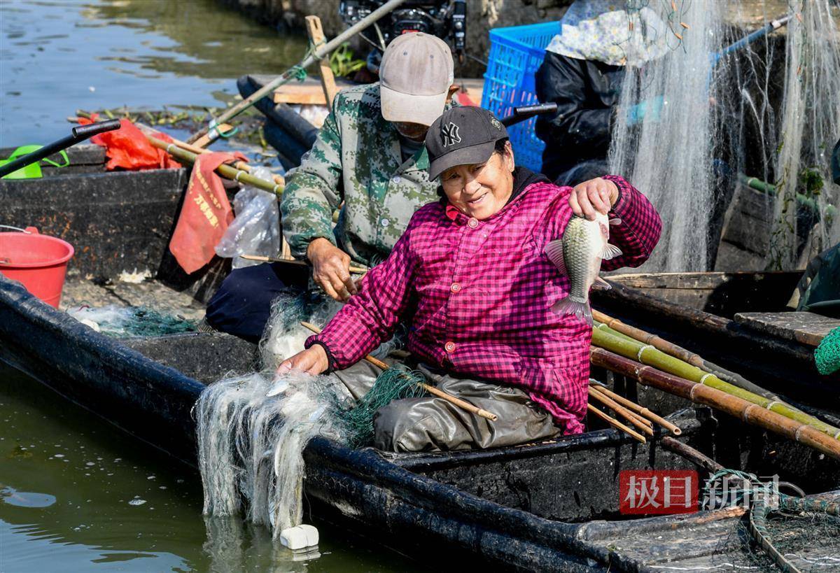 重振全国水产大县荣光武汉江夏水产先锋队服务渔业争先锋