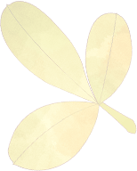 2130期>供稿丨中院环资庭 武侯法院编辑丨李丽莎一审丨张子纯二审丨陈