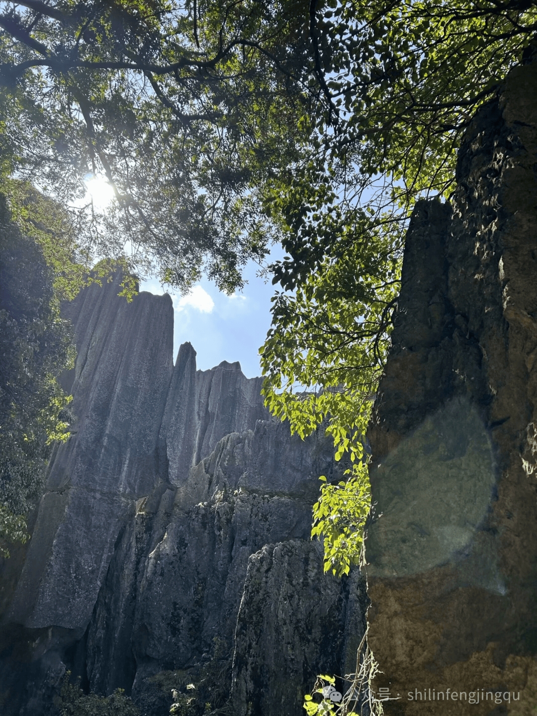 石林之旅愿我们如石林的巨石一样坚强