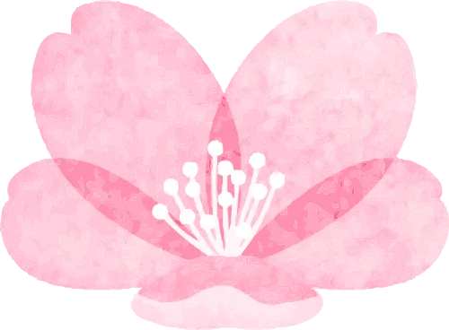 梧州增开清明节公交专线具体日期和票价请戳