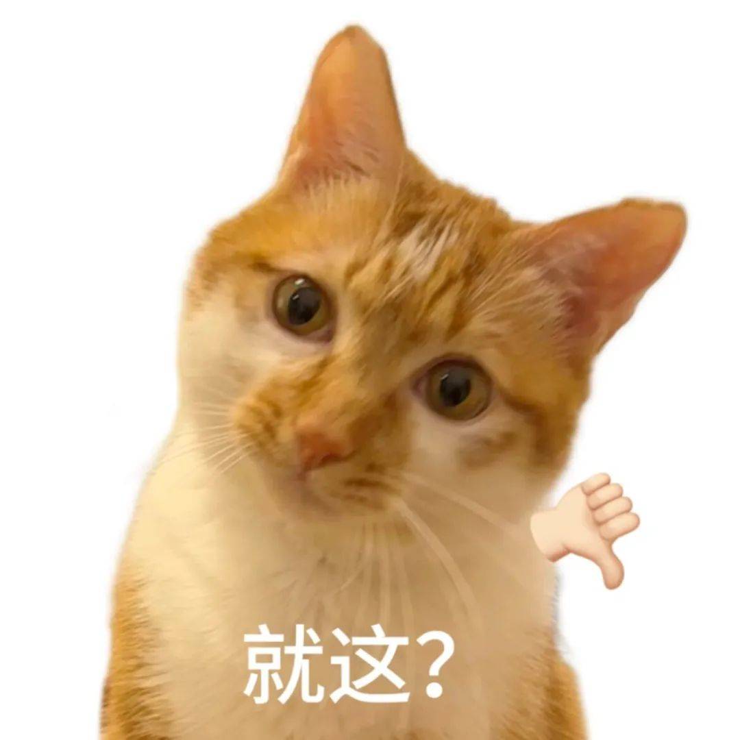 表情包丨高频使用的万能表情包