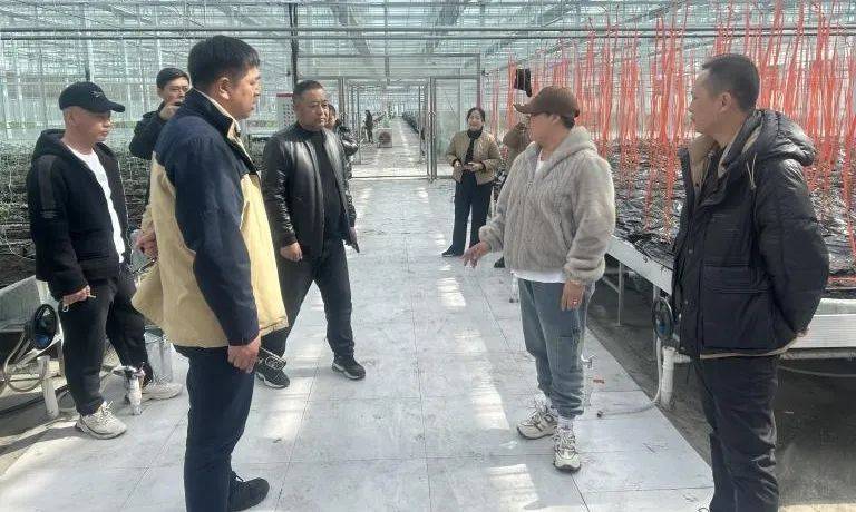 首席专家兰西县榆林镇温室甜瓜生产技术指导兰西县是蔬菜主产县,是