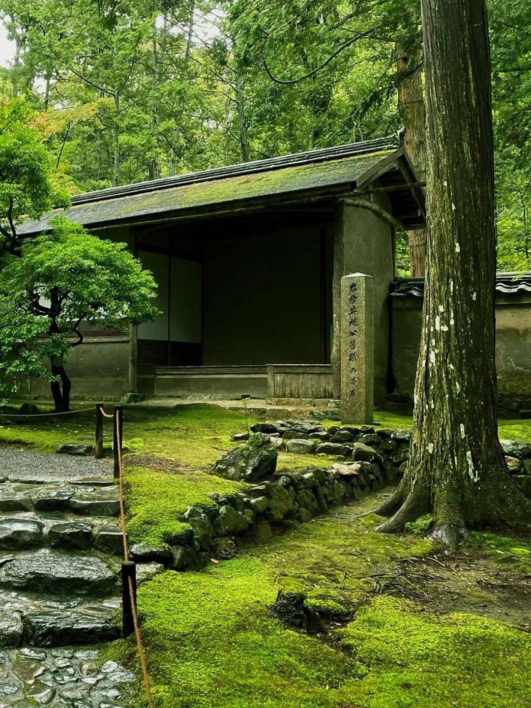 日本西芳寺图片