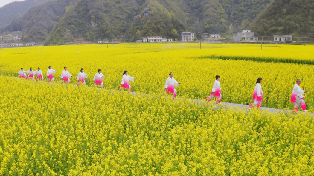 春满田园旬阳水泉坪油菜花季系列活动即将开启