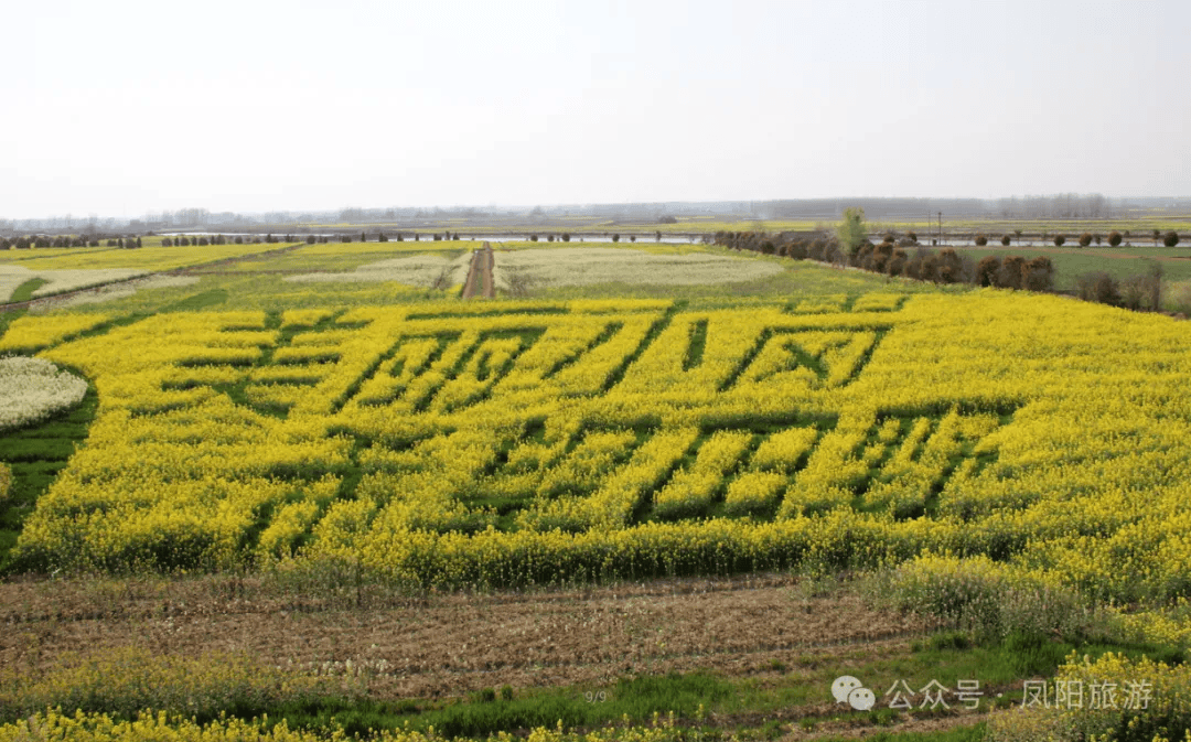 大美凤阳邀您上春山凤阳最新线路公布春游江淮