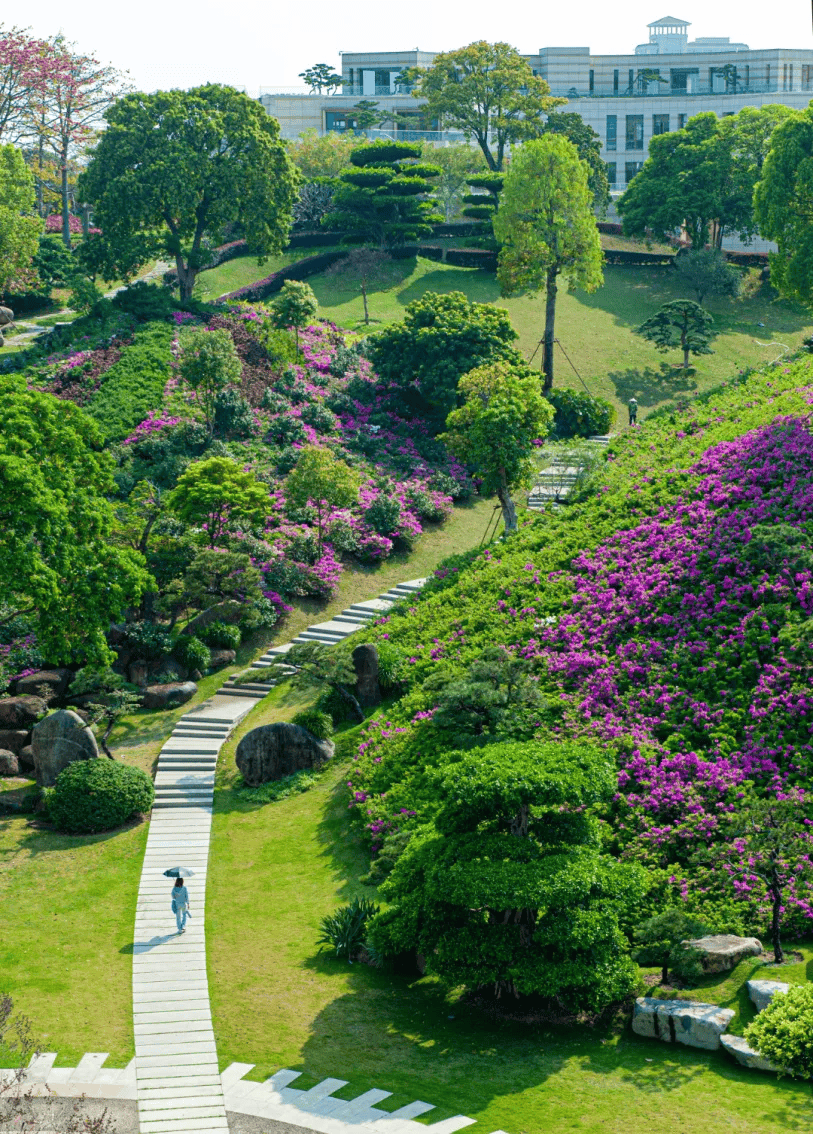 高校校花曝光!厦门的是……_校园_福建_踏青