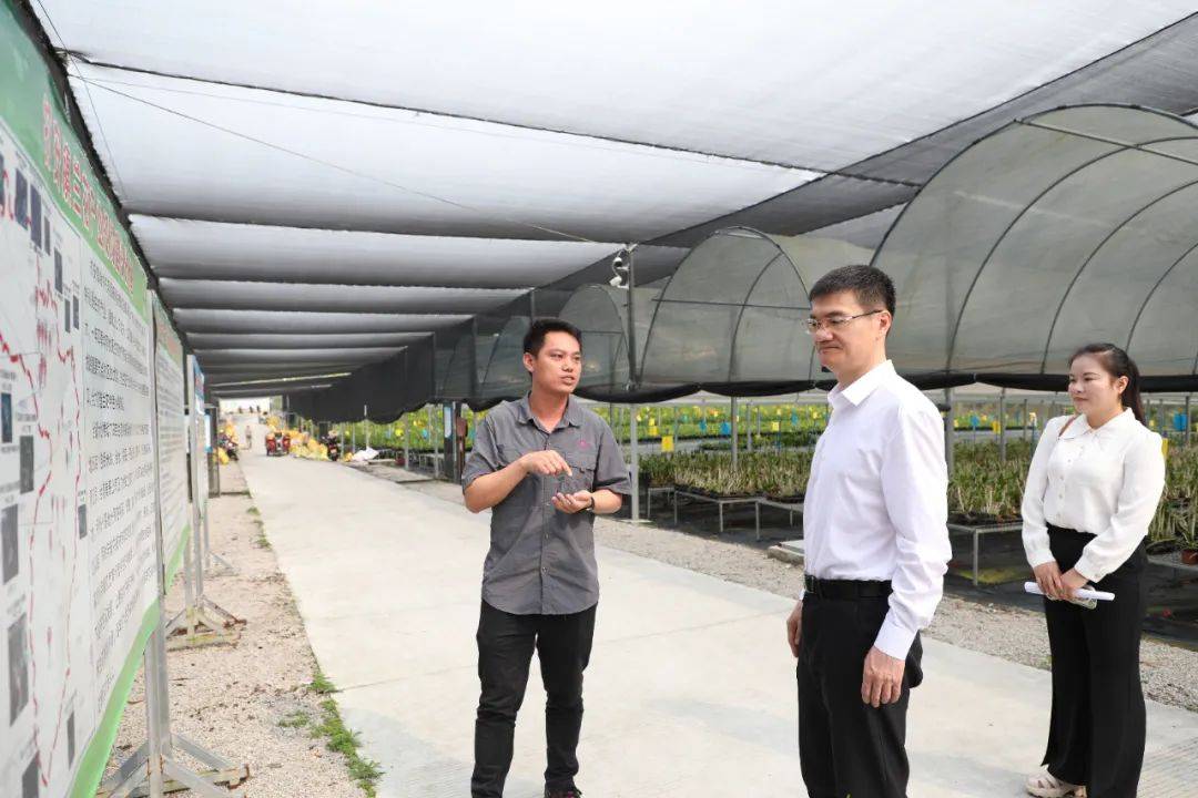 团省委书记叶光亮一行到白沙调研青年人才助力乡村振兴工作情况