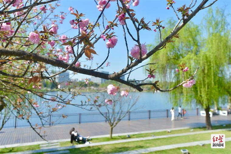 双流中心公园于2009年12月开放,是一座集休闲,娱乐,健身,艺术于一体的