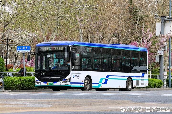 一停一等一让三个动作铸就公交济南标准