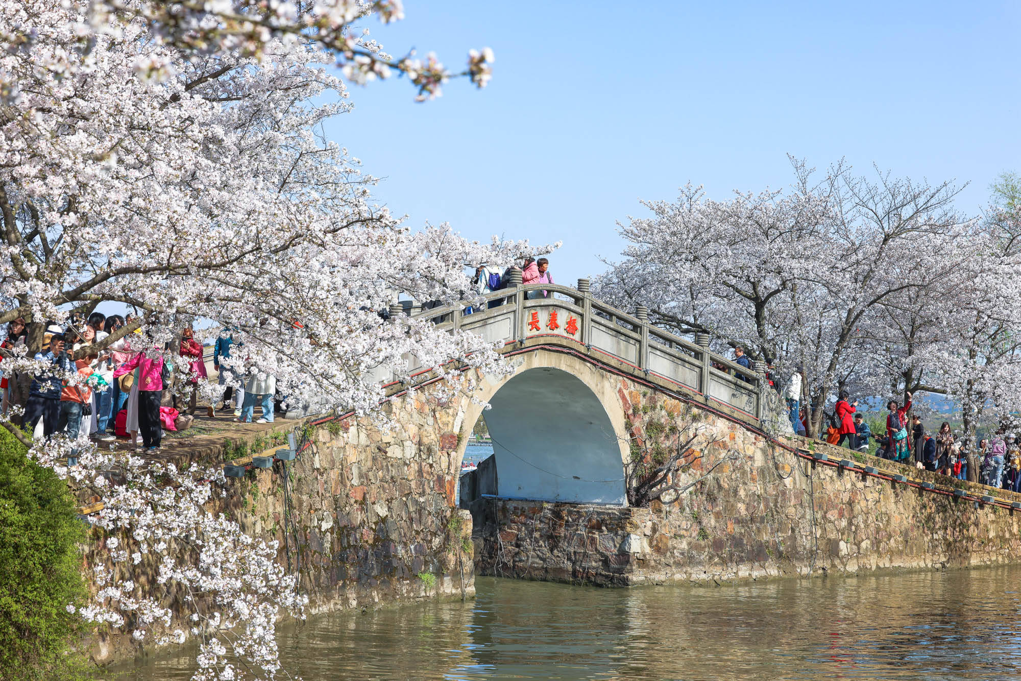 2021春节无锡免费景点图片