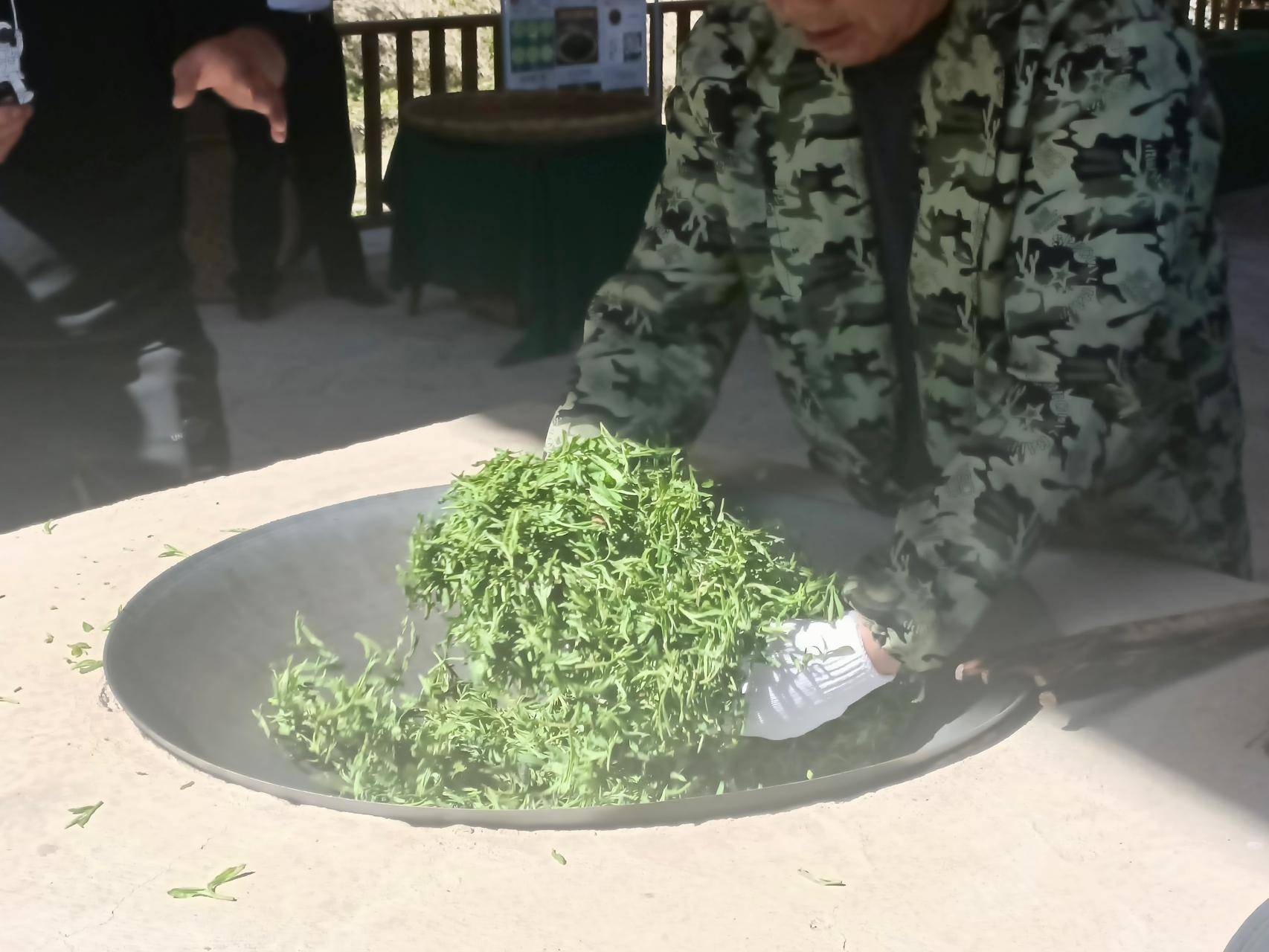 茶山醒采茶喽2024中国沩山第六届茶旅文化节开幕