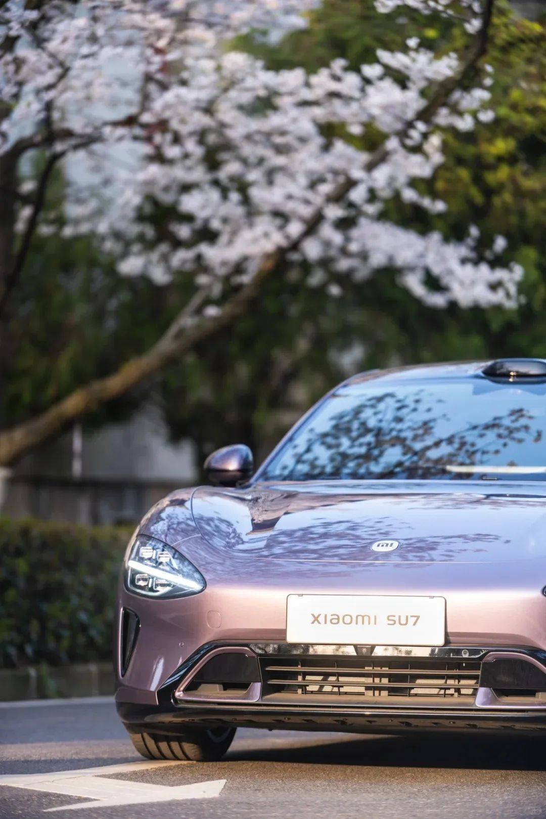 当时代不再发烧谁还会抢小米汽车