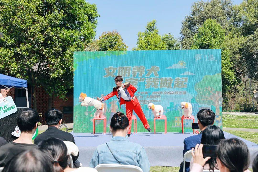 文明养犬宠我做起山上文明里的这场活动丰富又有趣