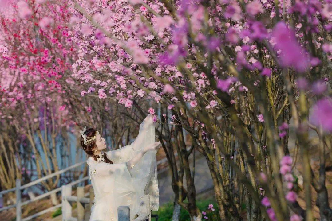 09:00-18:00地址:新都区叠秀路1777号音乐·百花谷03仿佛闯入了唯美的