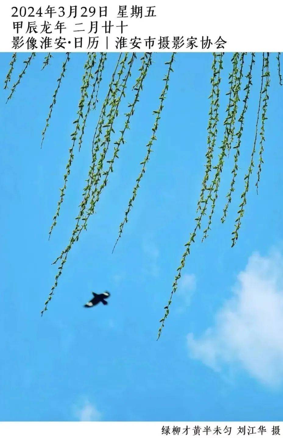 关于信息系统切换升级的公告