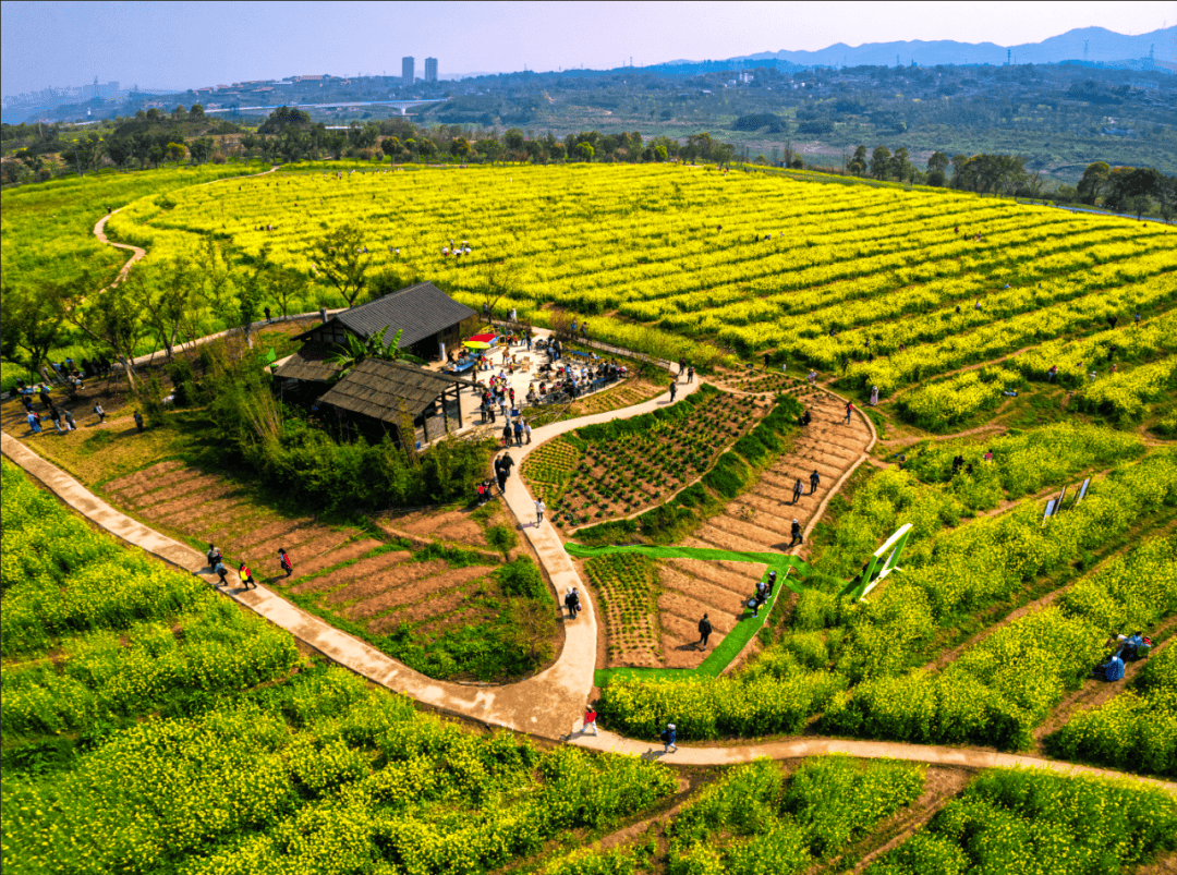 全网征集广阳岛新媒体大赛来啦