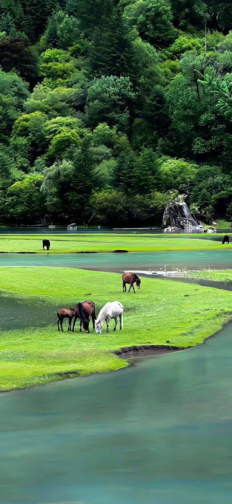 治愈系图片 风景真实图片