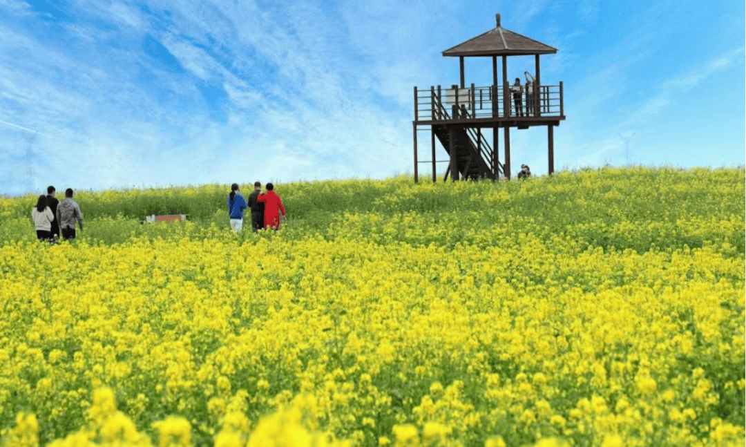 姜嫄水乡休闲体验区武功县姜嫄水乡文化游part2周边景点:烽火村,唐