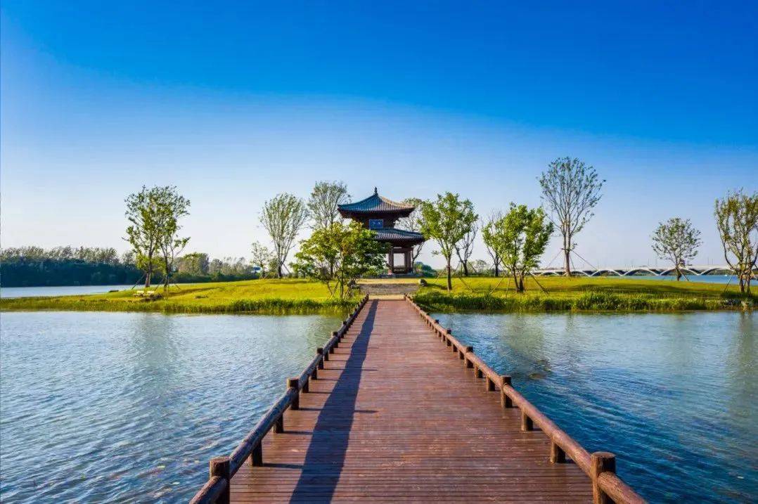 春游江淮看2024阜阳斑马音乐节这份保姆级阜阳一日游攻略火速收藏